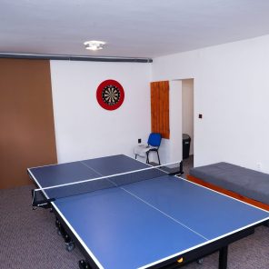 Stolní tenis a šipky