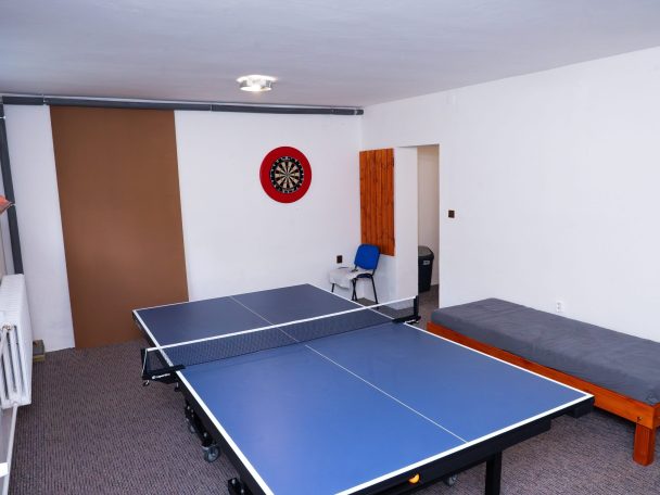 Stolní tenis a šipky